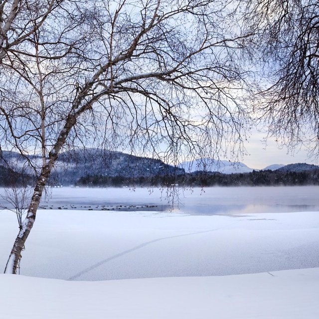Molinie Mood Music 2: Nature Inspired Music Vol 1