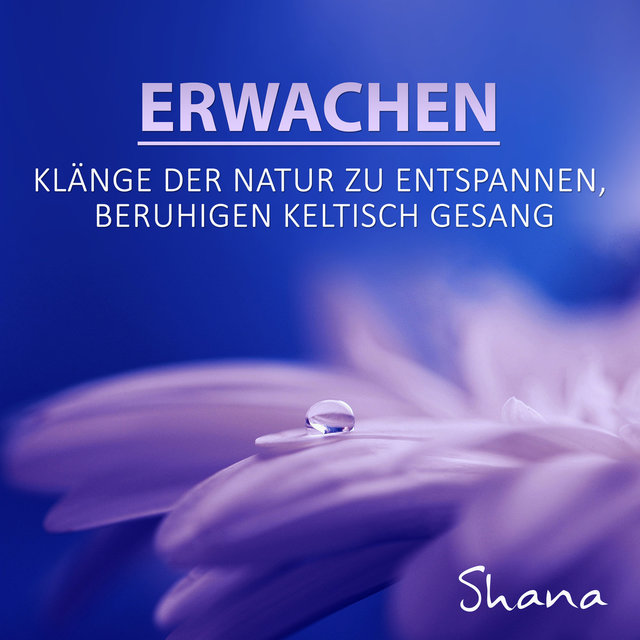 Erwachen: Zen-Meditation, Yoga Lieder, Wohltuend und beruhigend keltisch weiblichen Gesang, Therapie Musik für den inneren Frieden, Instrumental Hintergrundmusik, Klänge der Natur zu entspannen