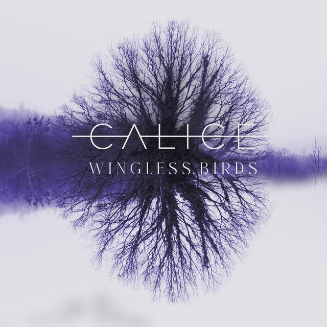 Wingless Birds
