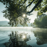 Peaceful Harmony Soothing Tunes