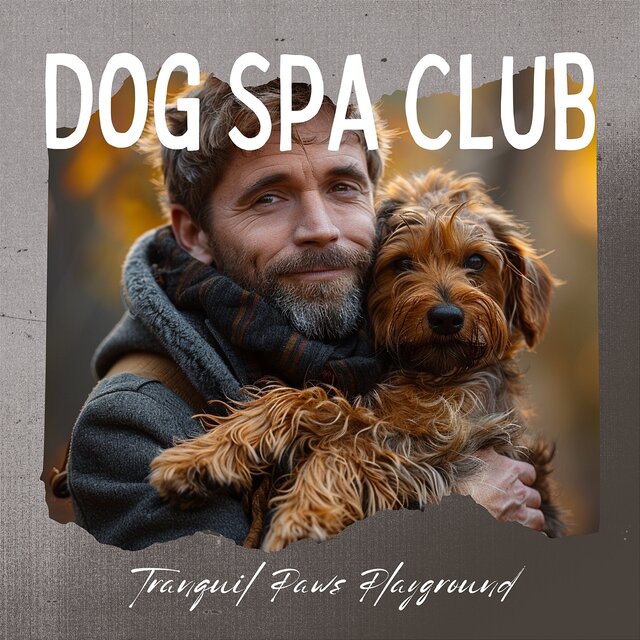 Tranquil Paws Playground: Soft Steps to Peacefulness