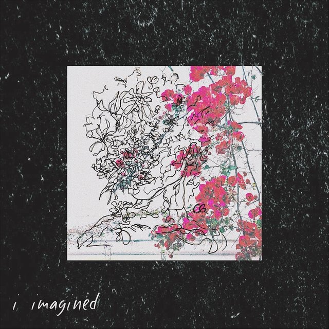 I Imagined