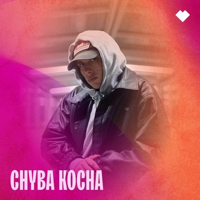 Chyba kocha