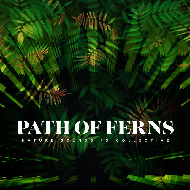 Path of Ferns