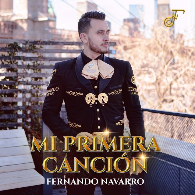 Mi Primera Canción