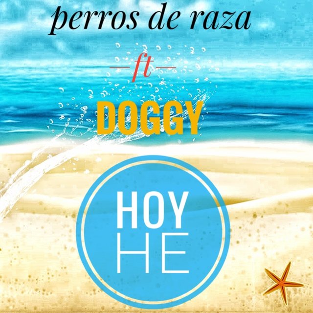 Hoy He