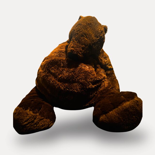 My Bear and Me