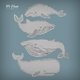 Cover art for album Silence by we float