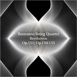 String Quartet No.13 in B-Flat Major, Op.130: I. Adagio ma non troppo – Allegro