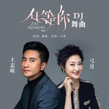 在等你 (DJ版)