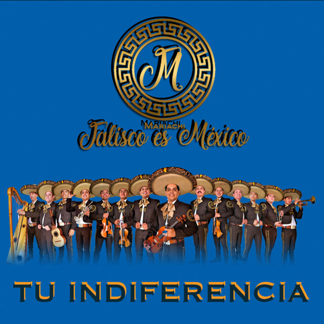 Tu Indiferencia