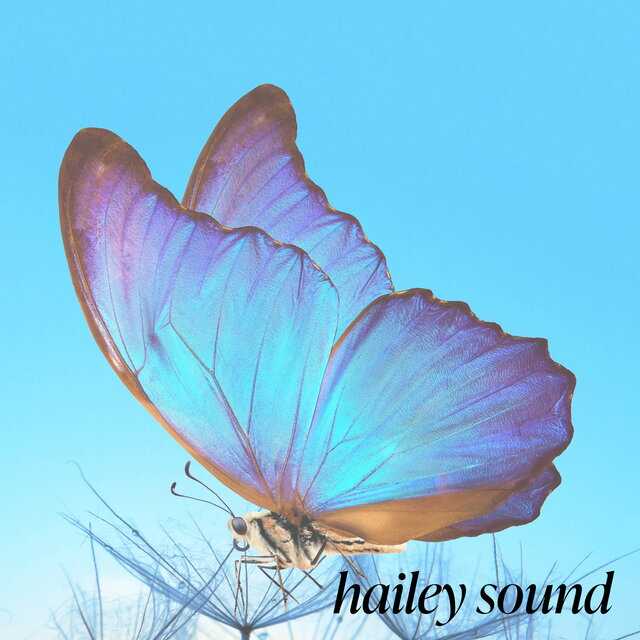 hailey sound