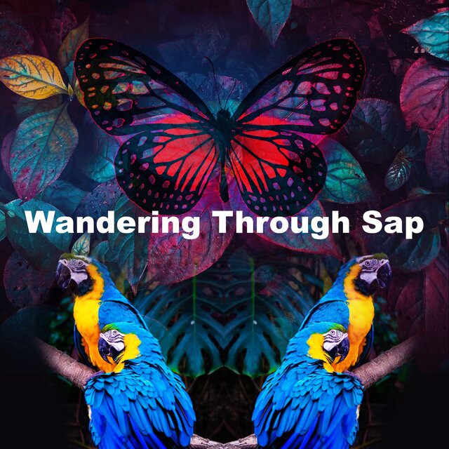 Wandering Through Sap