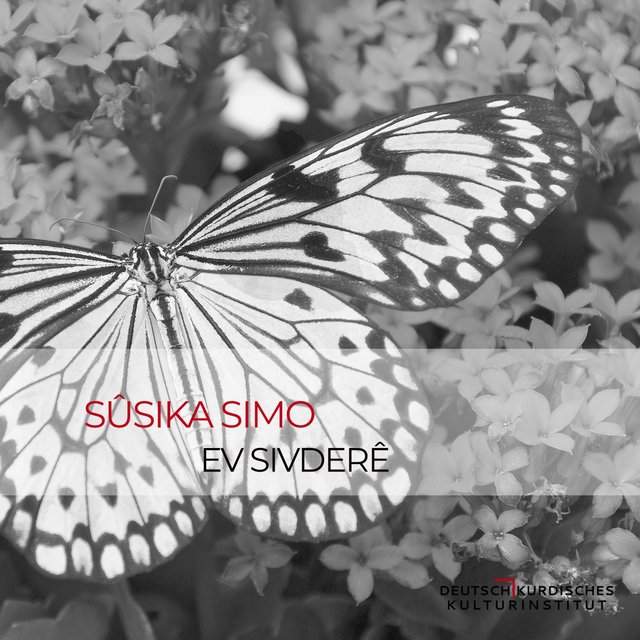 Ev Sivderê