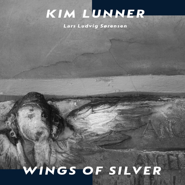 Wings Of Silver