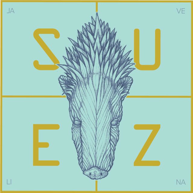 Javelina