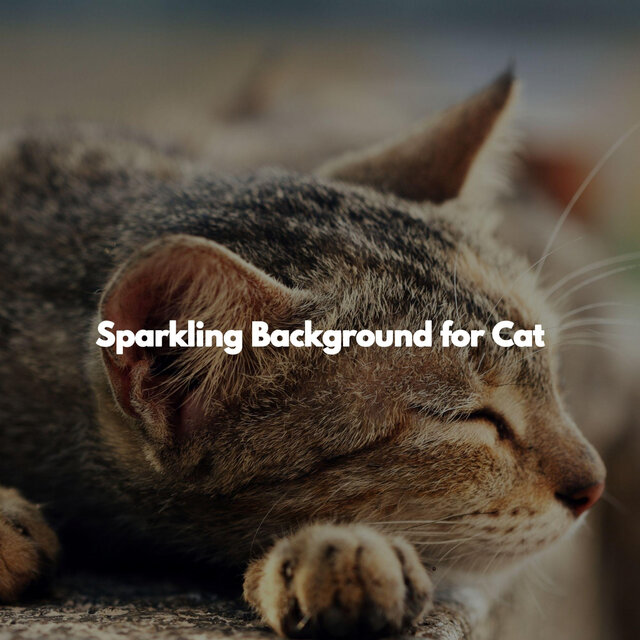 Sparkling Background for Cat