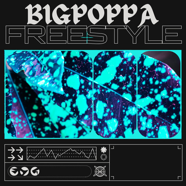 Big Poppa Freestyle (Remix)