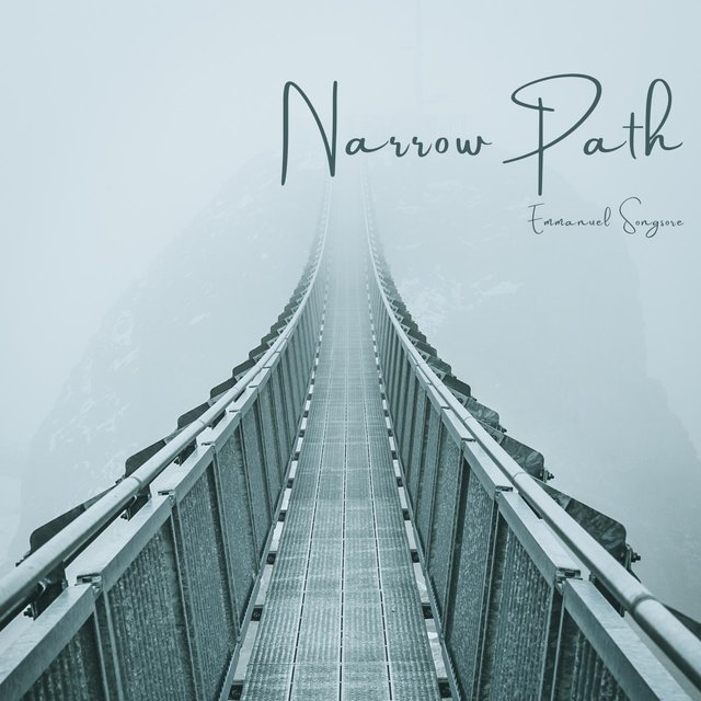Narrow Path