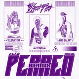 Ella quiere perreo (Remix)