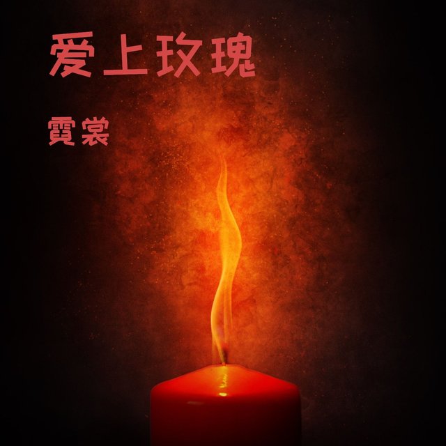 爱上玫瑰