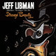 Cover art for album Strange Beauty by Jeff Libman