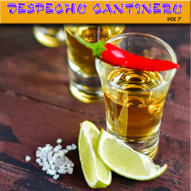 Despecho Cantinero, Vol.7