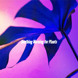 Swanky Waltz - Vibe for Finding It