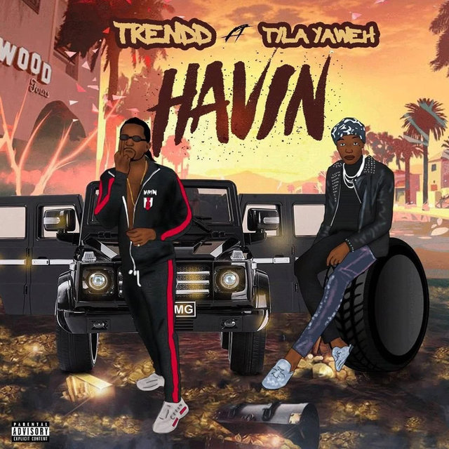 Havin