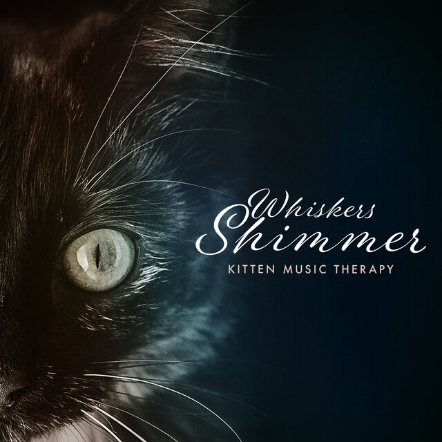 Whiskers Shimmer