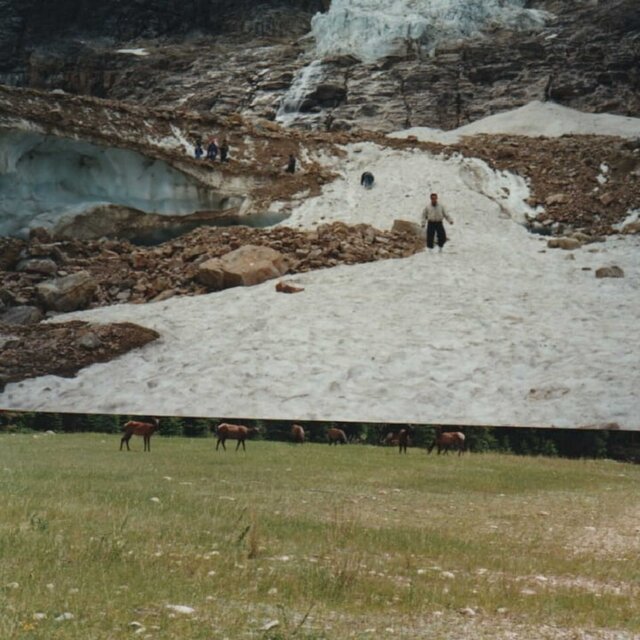 Memories Garden