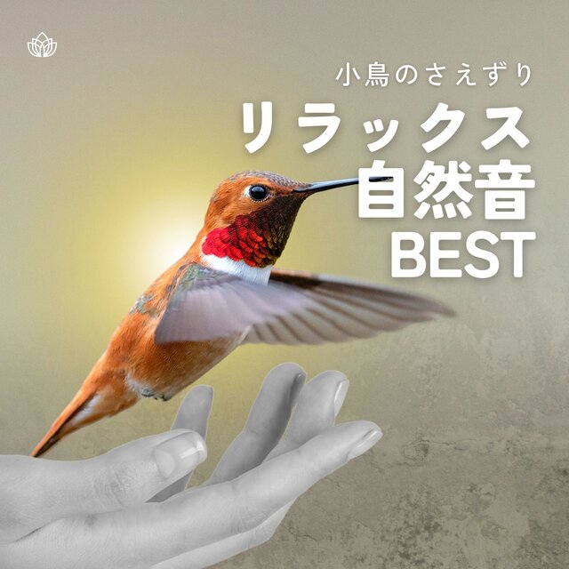 Best Relaxing Nature Sounds - Chirping Birds