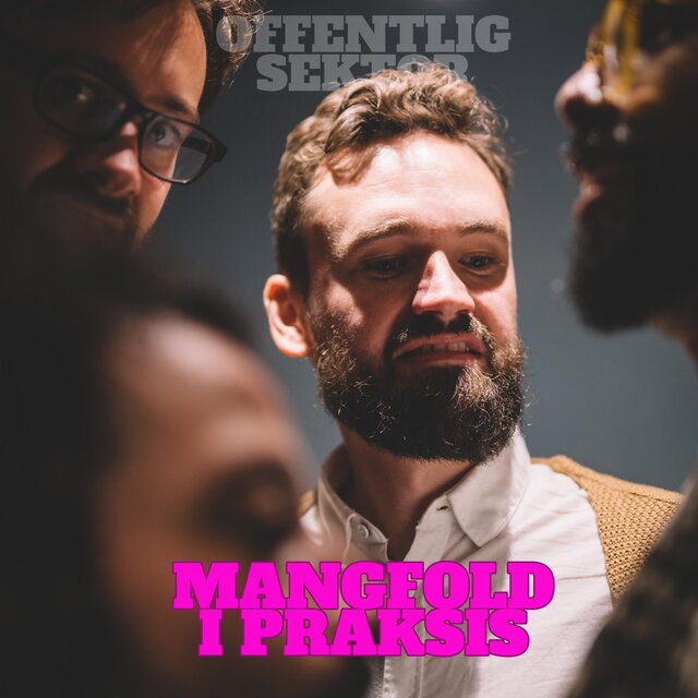 Mangfold i Praksis