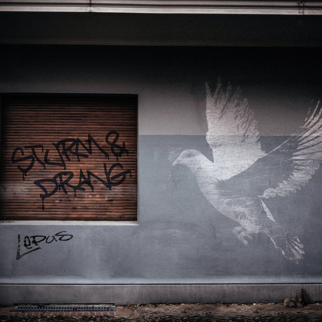 Sturm & Drang
