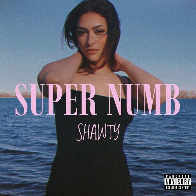 SUPER NUMB