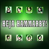 Heja Hammarby!