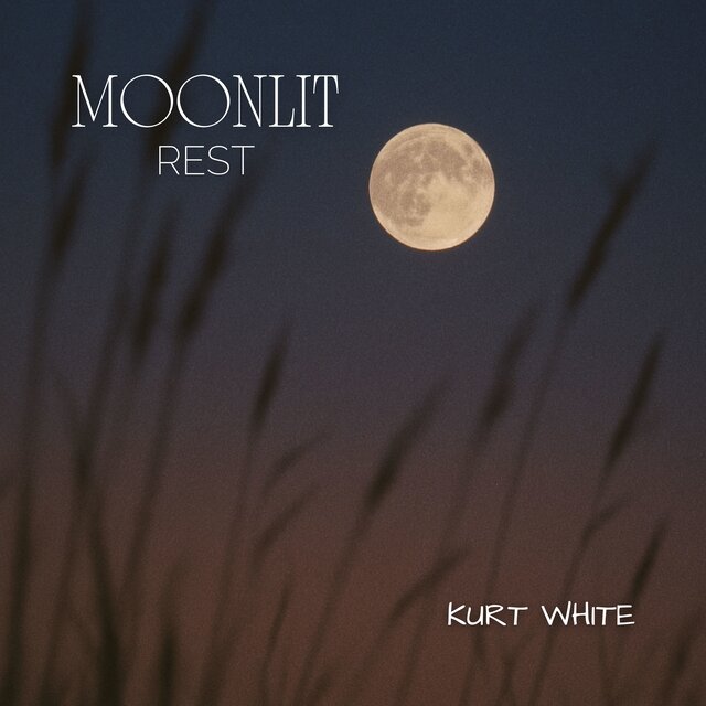 Moonlit Rest