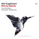 Cover art for album Stormy Beauty by Nils Kugelmann