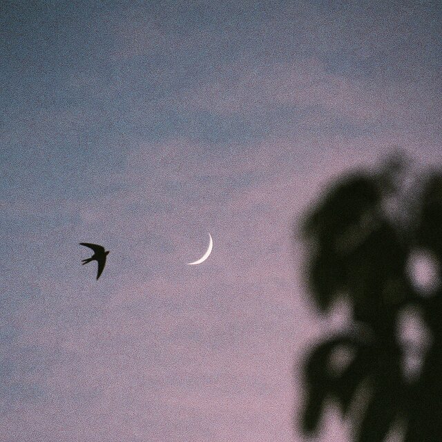where you used to be