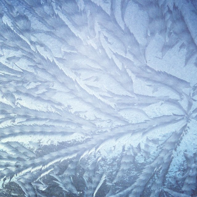 December In Twenty