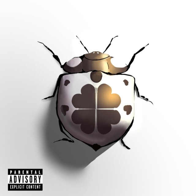 Ladybug