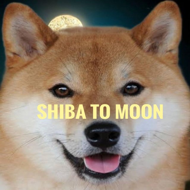 SHIBA TO MOON