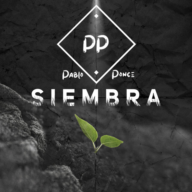 Siembra