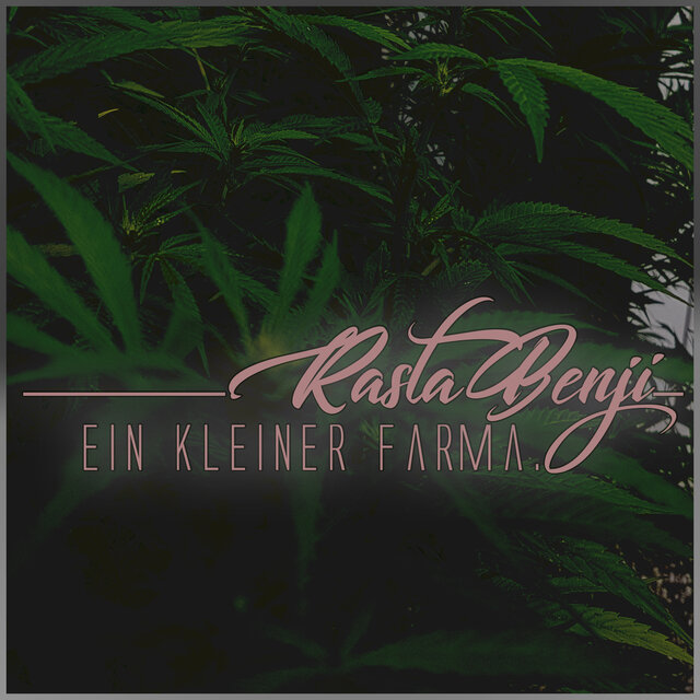 Ein kleiner farma (Radio Edit)