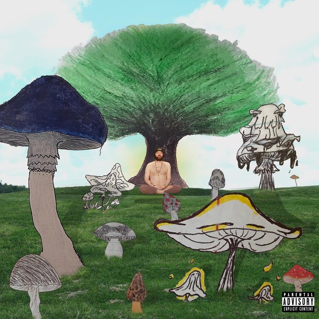 Kameha-Wave