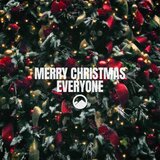 Merry Christmas Everyone - Acoustic