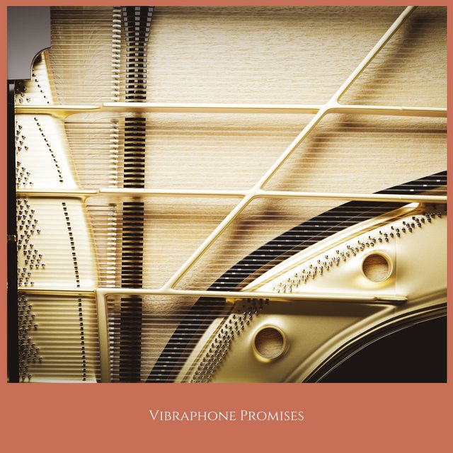 Vibraphone Promises