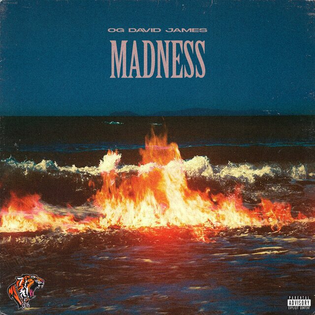 MADNESS