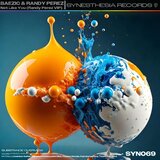 Not Like You (Randy Perez VIP)