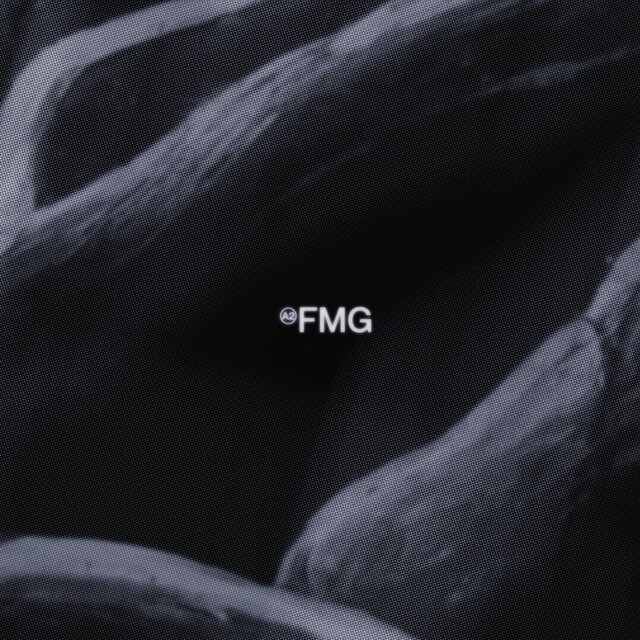 FMG